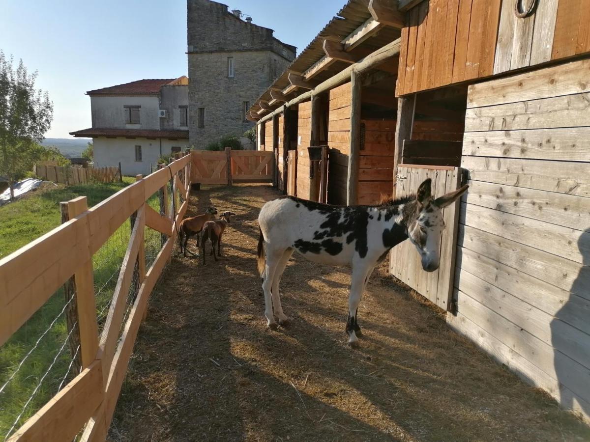 Puylaroque Villa Les Hauts Vallons מראה חיצוני תמונה